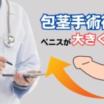 包茎手術後はちんこが大きくなる?デカくなる理由やサイズアップ方法を解説