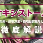 オキシストームとは?効果・摂取方法・摂取目安量・注意点を徹底解説