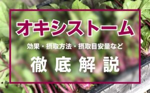 オキシストームとは？効果・摂取方法・摂取目安量・注意点を徹底解説