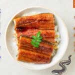うなぎで精力アップでは本当?精が付く理由やおすすめの摂取方法を紹介