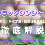 ブラックジンジャーとは?効果・摂取方法・摂取目安量・注意点を解説