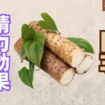 山芋(とろろ)の精力効果とは?山芋の栄養素とおすすめの摂取方法を解説