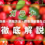 ガラナとは?効果・摂取方法・摂取目安量・注意点・相乗効果などを解説