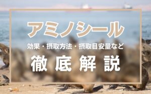 アミノシールとは?効果・摂取方法・摂取タイミング・注意点を徹底解説