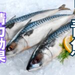 青魚の精力効果とは?青魚の栄養素とおすすめの摂取方法を徹底解説