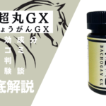 馬超丸(ばちょうがん)GXの効果とは?有効成分・口コミ・評判・体験談などを解説