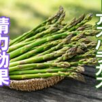 アスパラガスの精力効果とは?アスパラガスの栄養素とおすすめの摂取方法を徹底解説