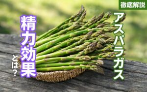アスパラガスの精力効果とは?アスパラガスの栄養素とおすすめの摂取方法を徹底解説