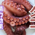 タコの精力効果とは?タコの栄養素とおすすめの摂取方法を徹底解説