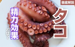 タコの精力効果とは?タコの栄養素とおすすめの摂取方法を徹底解説