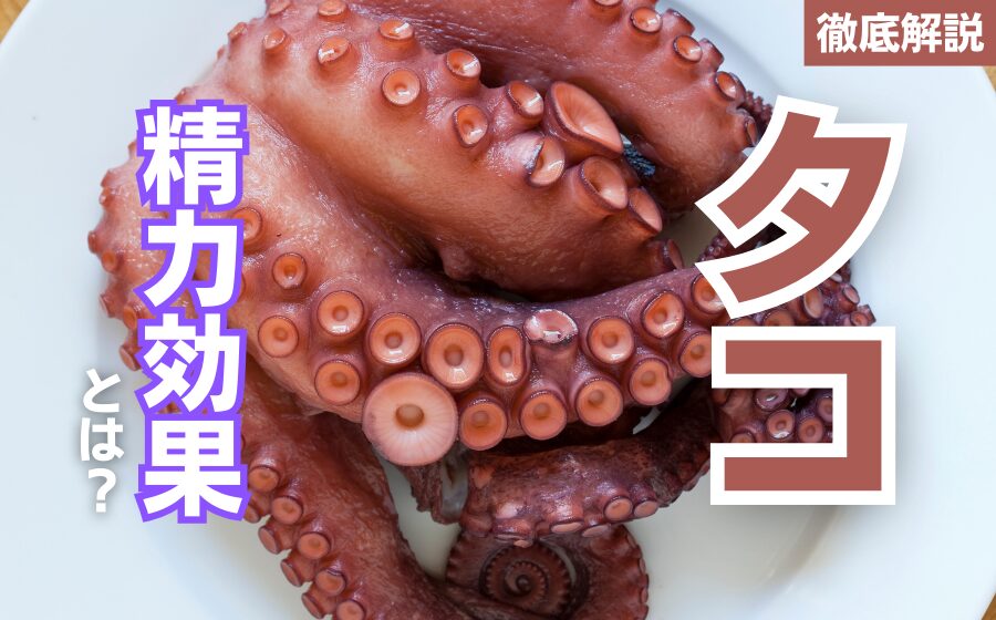 タコの精力効果とは？タコの栄養素とおすすめの摂取方法を徹底解説