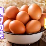 卵の精力効果とは?卵の栄養素・精力効果・おすすめの摂取方法を解説