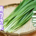 ニラの精力効果とは?ニラの栄養素とおすすめの摂取方法を徹底解説