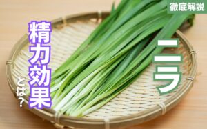 ニラの精力効果とは?ニラの栄養素とおすすめの摂取方法を徹底解説