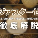 ジアスターゼとは?炭水化物の分解や精力向上に効果的な理由を解説