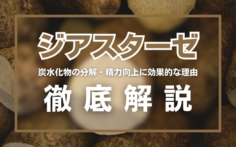 ジアスターゼとは？炭水化物の分解や精力向上に効果的な理由を解説