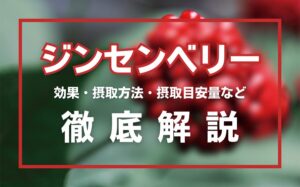 ジンセンベリーとは?精力効果・摂取量・効果的な摂取方法などを徹底解説
