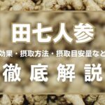 田七人参とは?精力効果・摂取量・効果的な摂取方法などを徹底解説