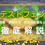 テストフェンとは?効果・摂取量・効果的な摂取方法などを徹底解説