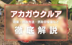 アカガウクルアとは?精力効果・摂取方法・摂取目安量・注意点などを解説