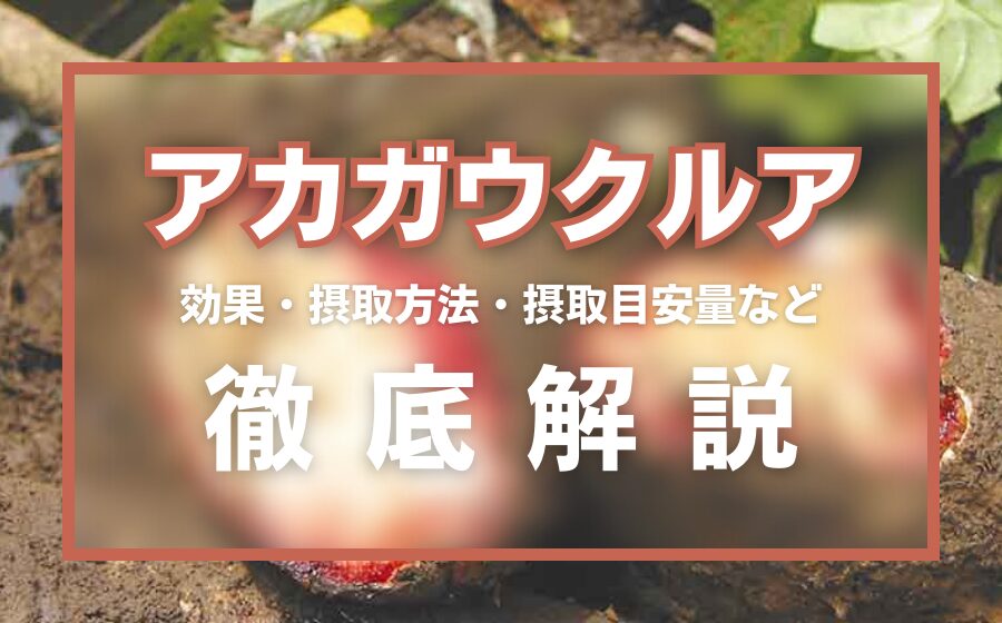 アカガウクルアとは？精力効果・摂取方法・摂取目安量・注意点などを解説