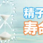 精子の寿命は平均5日!最長は1週間だけど受精できない?