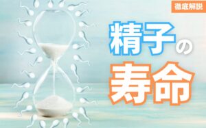 精子の寿命は平均5日！最長は1週間だけど受精できない？